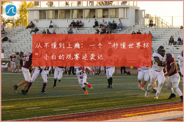 从不懂到上瘾：一个“秒懂世界杯”小白的观赛逆袭记